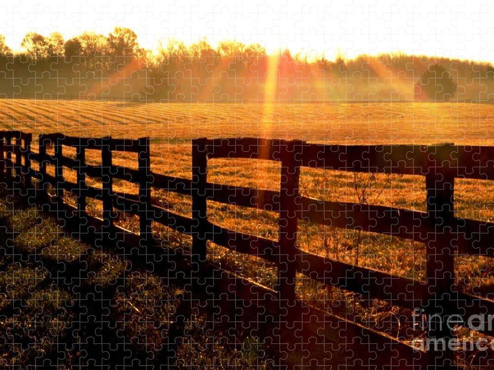Country Jigsaw Puzzle featuring the photograph Country Fence by Carlee Ojeda