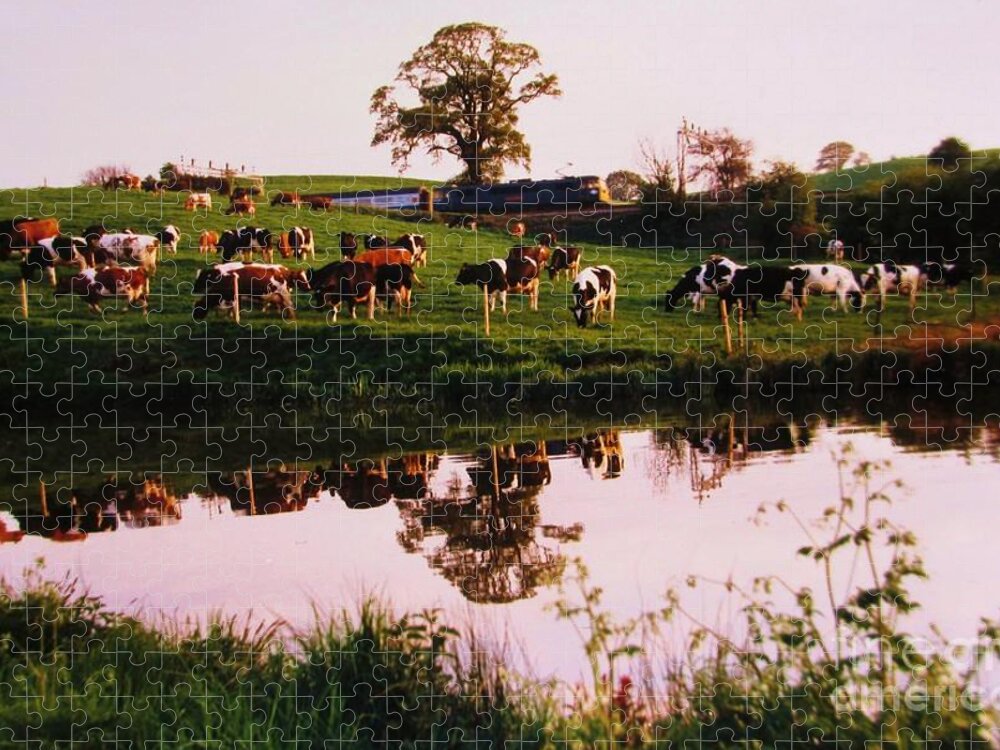 Landscape Jigsaw Puzzle featuring the photograph Cows In The Canal by Martin Howard