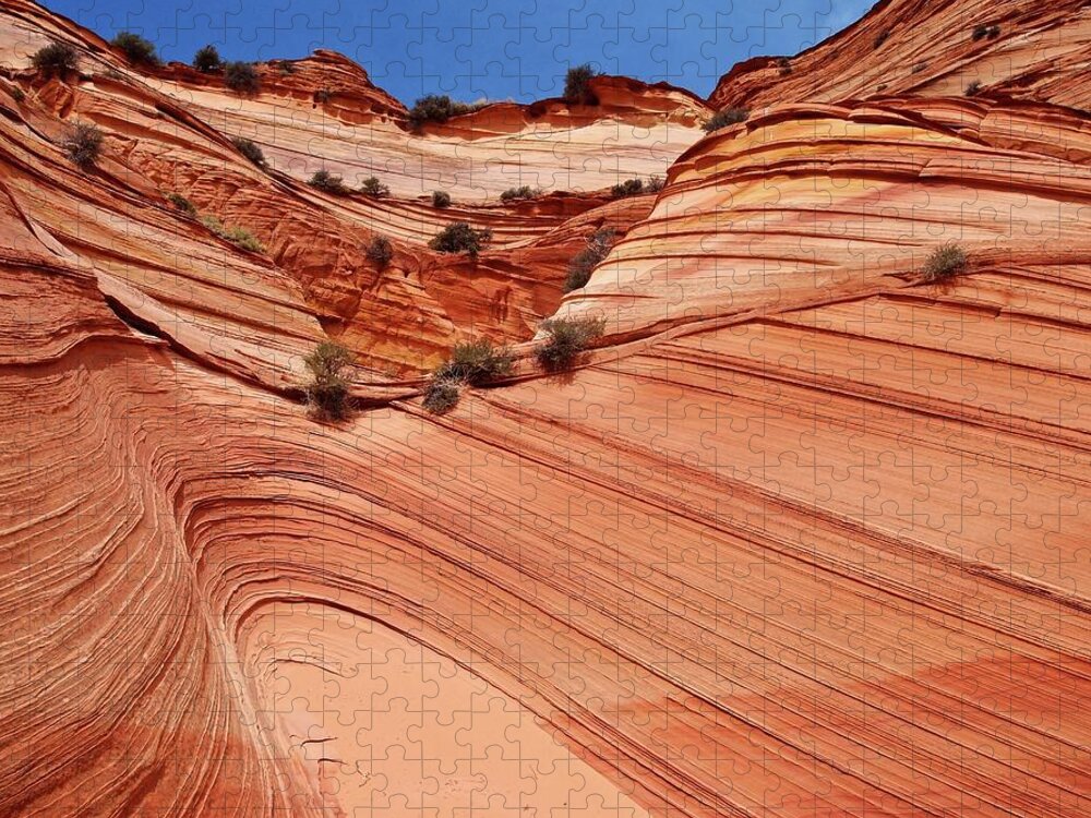 Tranquility Jigsaw Puzzle featuring the photograph Coyote Buttes South by Photograph By Michael Schwab