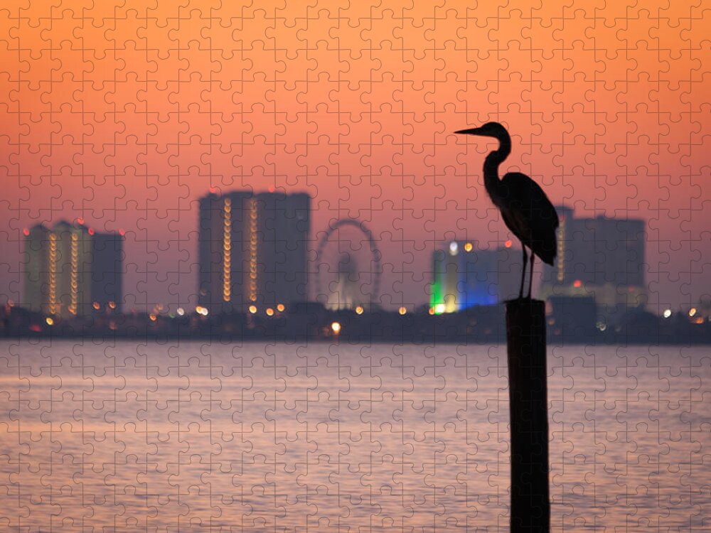 Bird Jigsaw Puzzle featuring the photograph Crane on a Pier by Tim Stanley