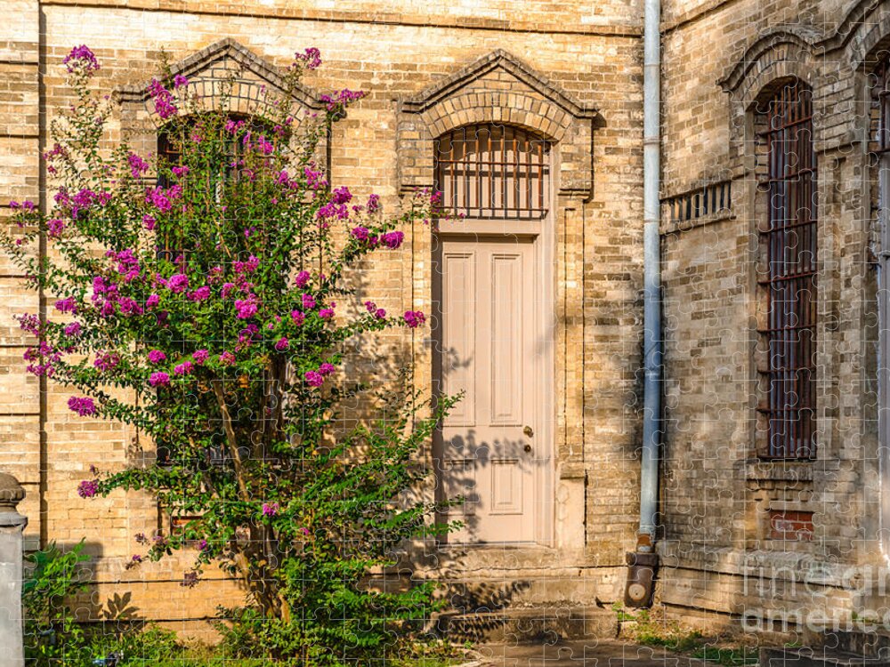 Gonzales County Jigsaw Puzzle featuring the photograph Crape Myrtle and Gonzales County Jail Museum by Silvio Ligutti