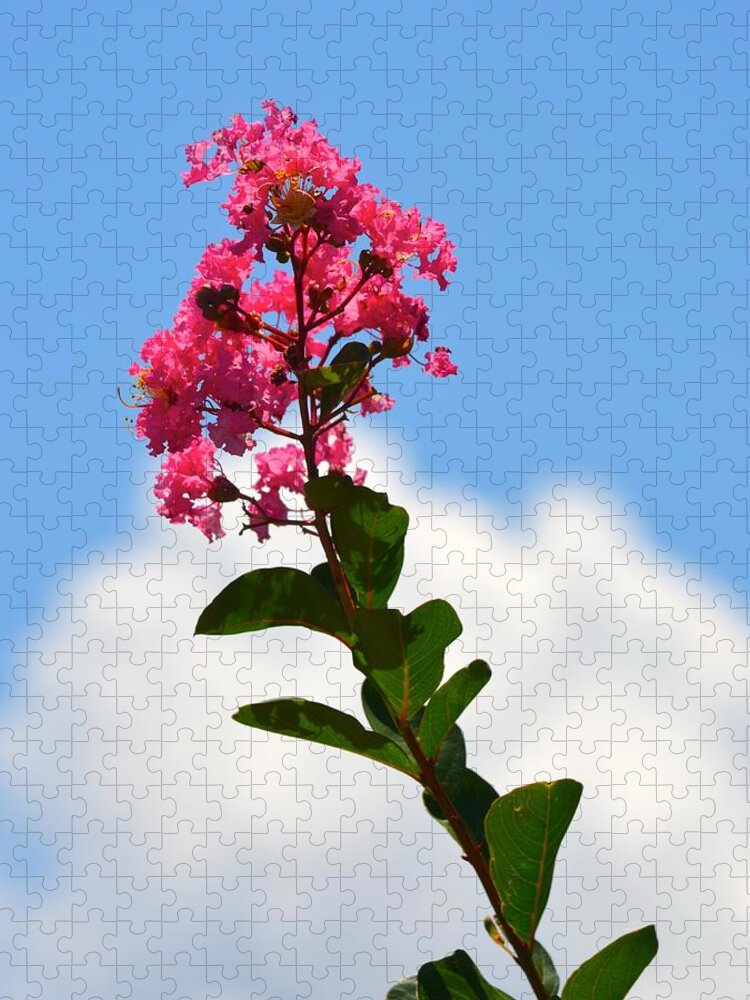 Crepe Myrtle Jigsaw Puzzle featuring the photograph Crepe Myrtle against the Sky by Richard Bryce and Family
