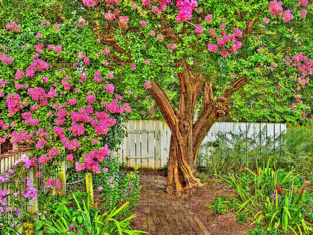 Crepe Myrtle Jigsaw Puzzle featuring the photograph Crepe Myrtle in Wiliamsburg Garden by Jerry Gammon