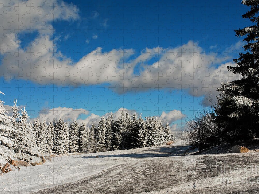 Crossroads Jigsaw Puzzle featuring the photograph Crossroads by Lois Bryan