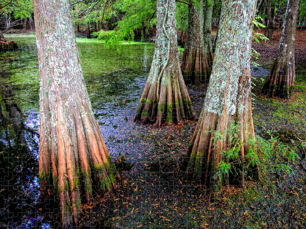 Cypress Trees Jigsaw Puzzle featuring the photograph Cypress Waltz by Karen Wiles