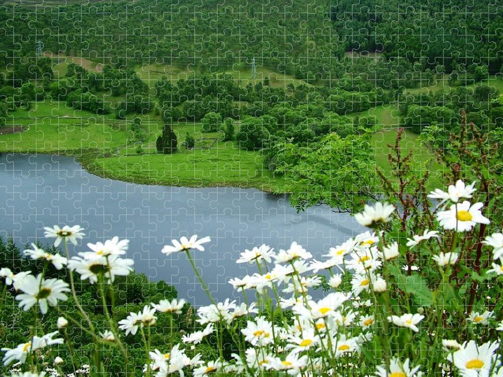 Queen's View Jigsaw Puzzle featuring the photograph White Daisies at Queens View by Joan-Violet Stretch