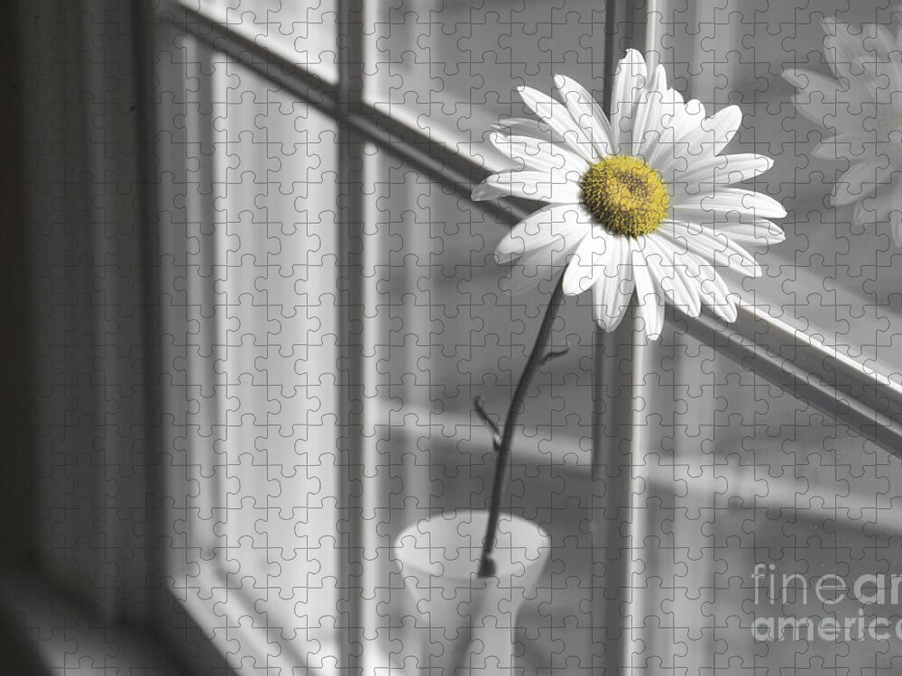 Daisy Jigsaw Puzzle featuring the photograph Daisy in the Window by Diane Diederich