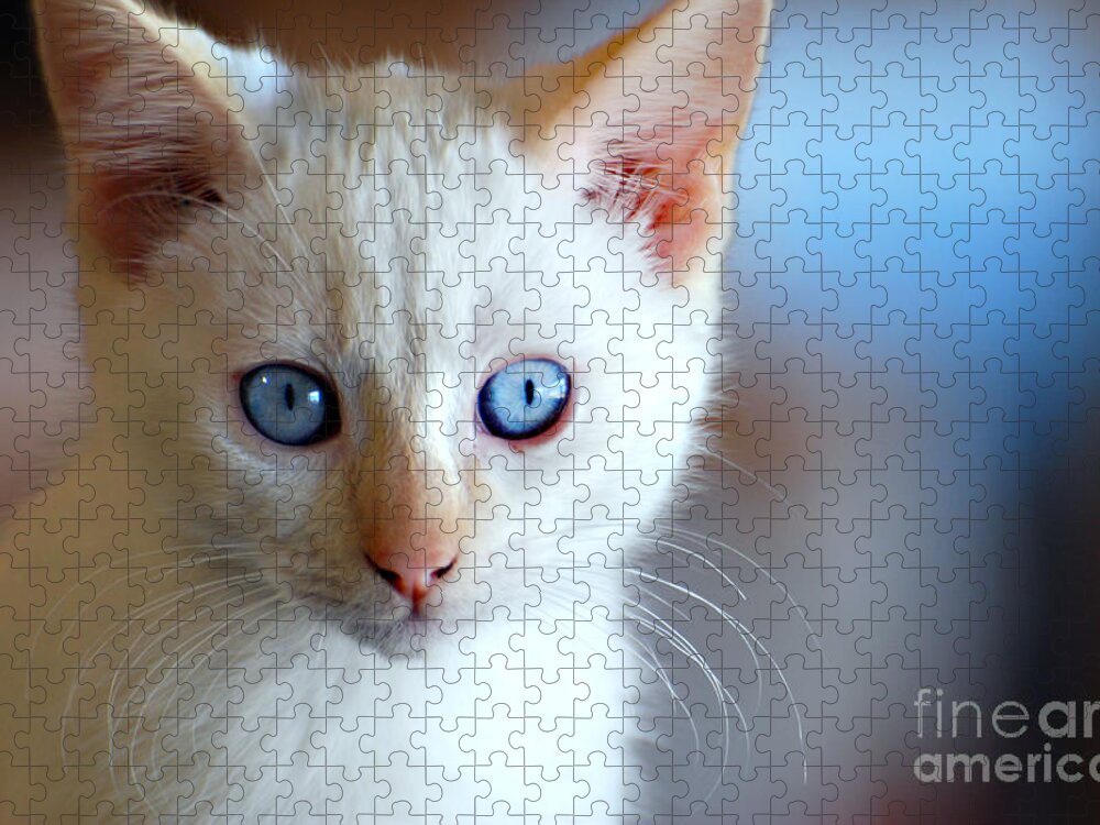 Cat Jigsaw Puzzle featuring the photograph Daisy by Linda Cox
