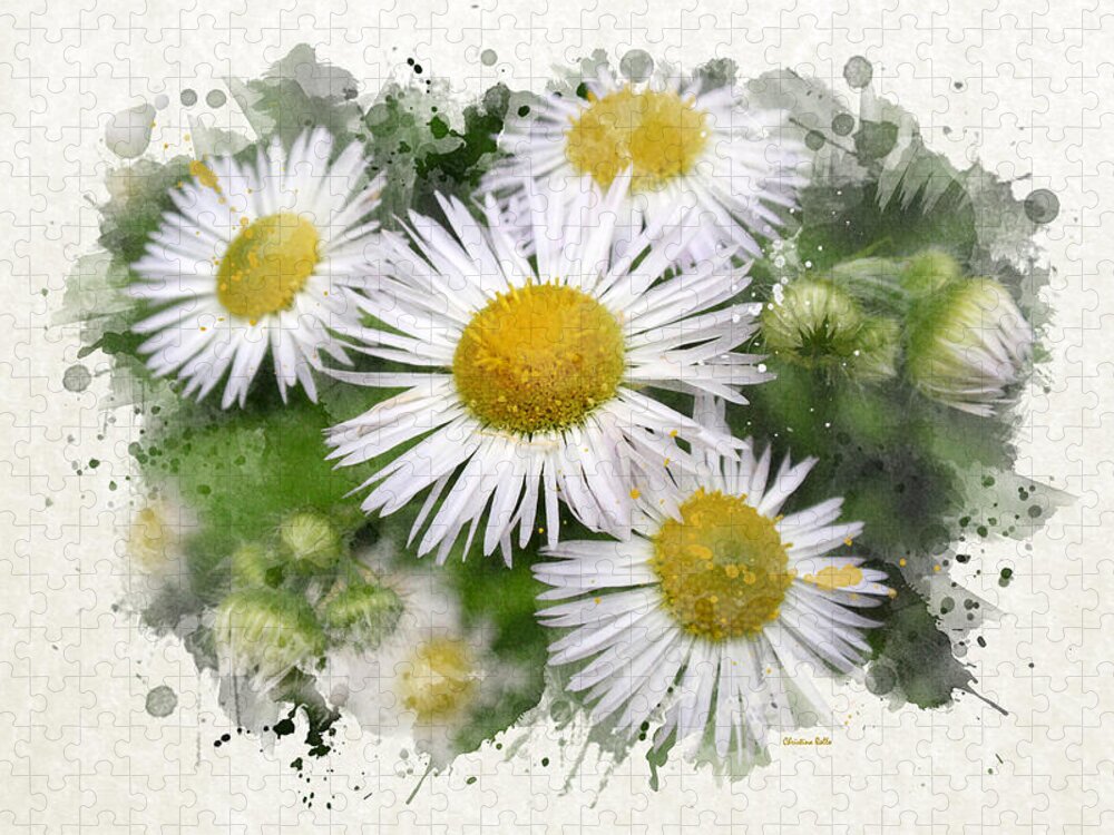 Daisy Jigsaw Puzzle featuring the mixed media Daisy Watercolor Flowers by Christina Rollo