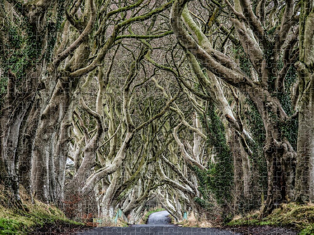 Dark Hedges Jigsaw Puzzle featuring the photograph Dark Hedges by Nigel R Bell