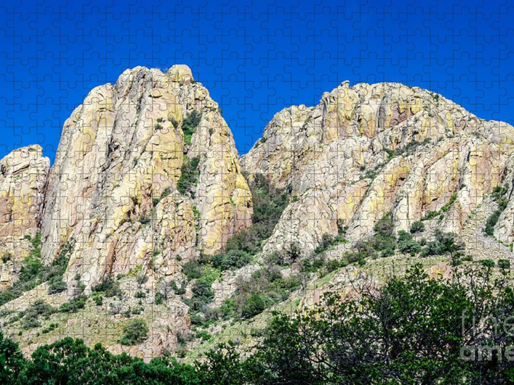 Mountains Jigsaw Puzzle featuring the photograph Davis Mountains of S W Texas by Debra Martz