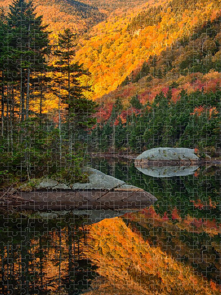 Beaver Pond Jigsaw Puzzle featuring the photograph Dawns foliage reflection by Jeff Folger