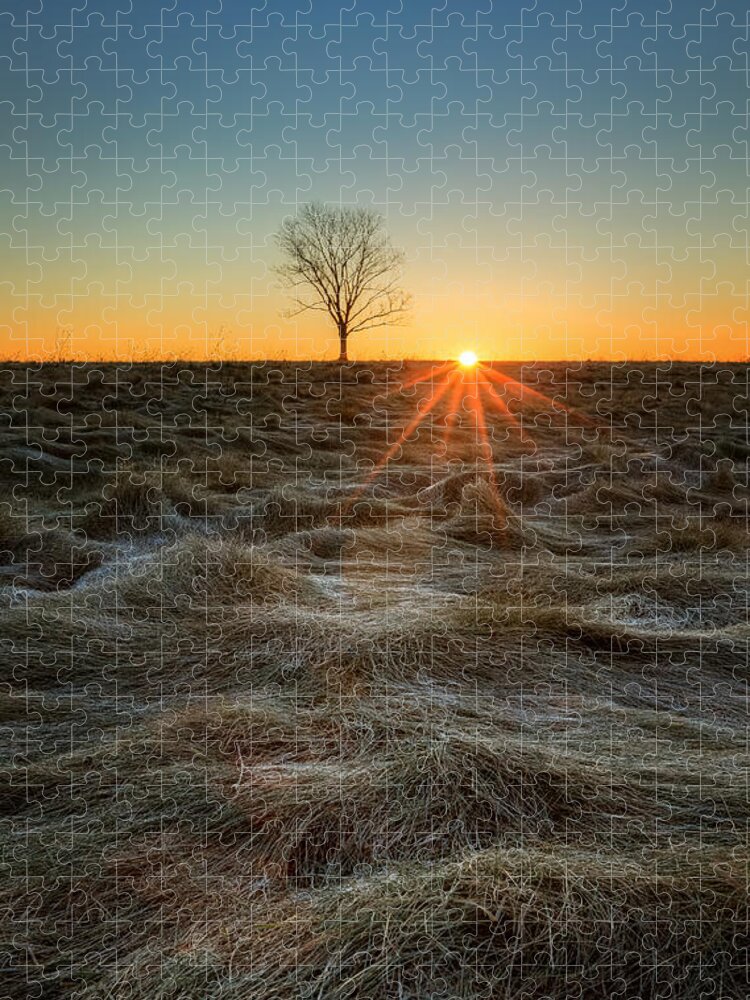 Sunrise Jigsaw Puzzle featuring the photograph Daybreak by Bill Wakeley