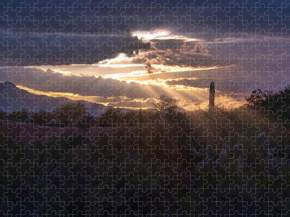 Arizona Jigsaw Puzzle featuring the photograph Days end by Dan McManus