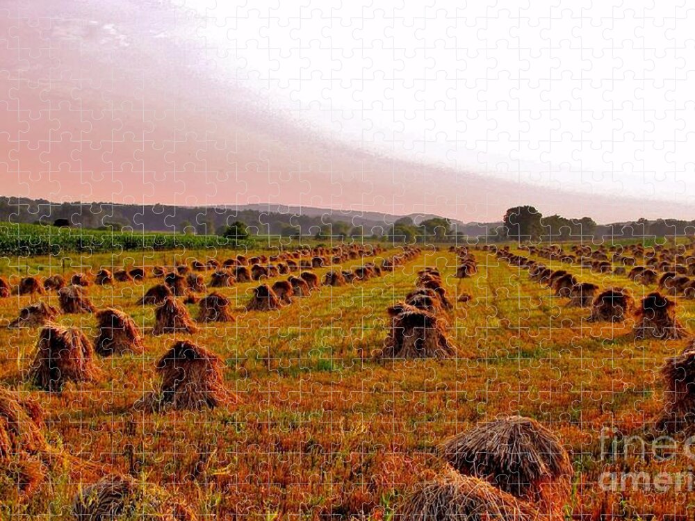 Amish Field Jigsaw Puzzle featuring the photograph Days Work Done by Marilyn Smith