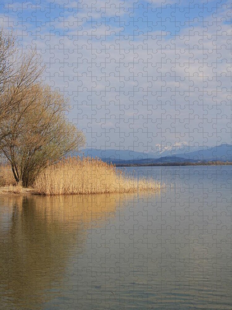 Water Jigsaw Puzzle featuring the photograph Dead Silence by Christiane Schulze Art And Photography
