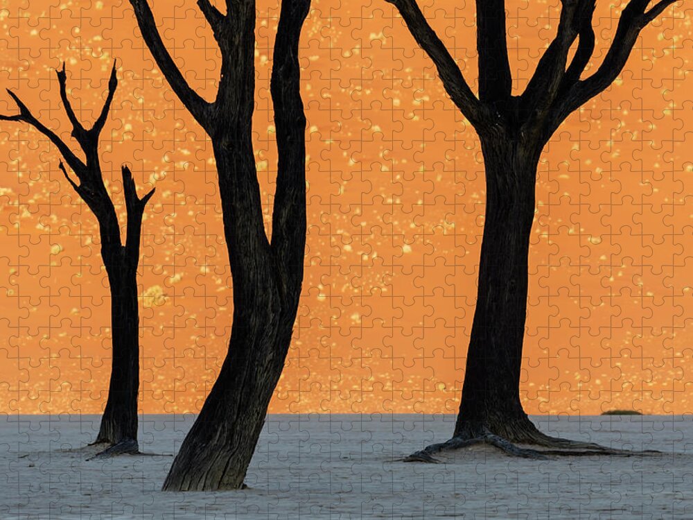 Sand Dune Jigsaw Puzzle featuring the photograph Dead Trees Against A Dune Background by Jeremy Woodhouse