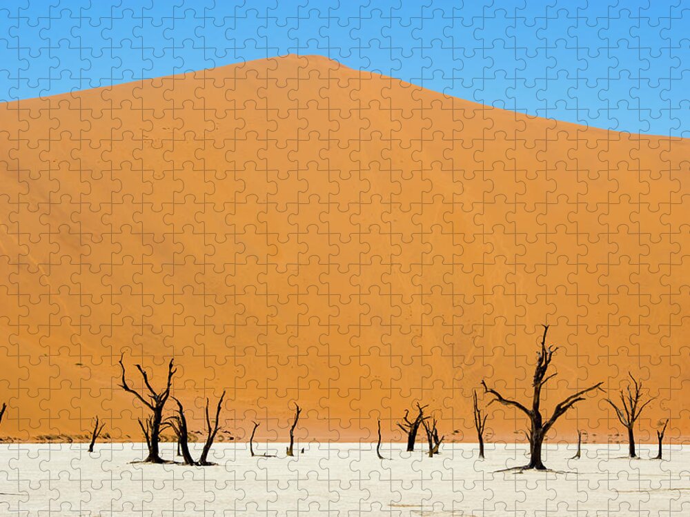 Scenics Jigsaw Puzzle featuring the photograph Dead Trees Dwarfed By The Size Of The by Edwin Remsberg