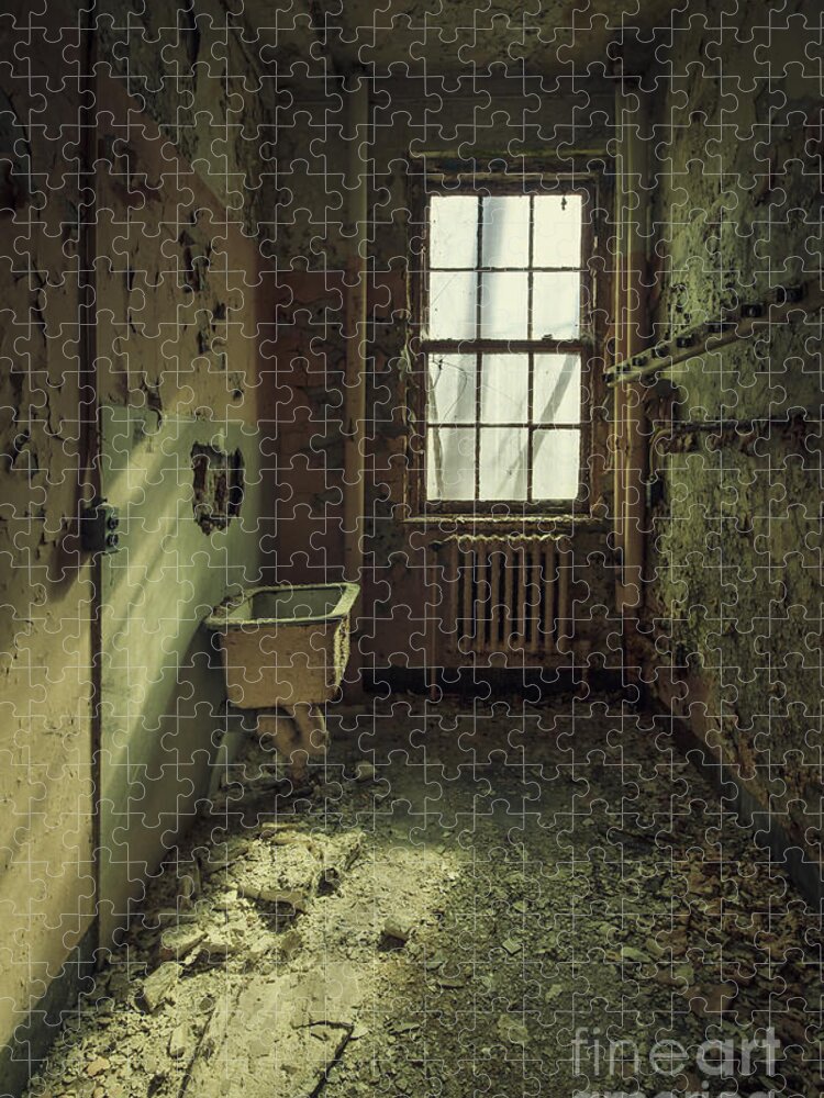 Abandoned Jigsaw Puzzle featuring the photograph Decade Of Decay by Evelina Kremsdorf