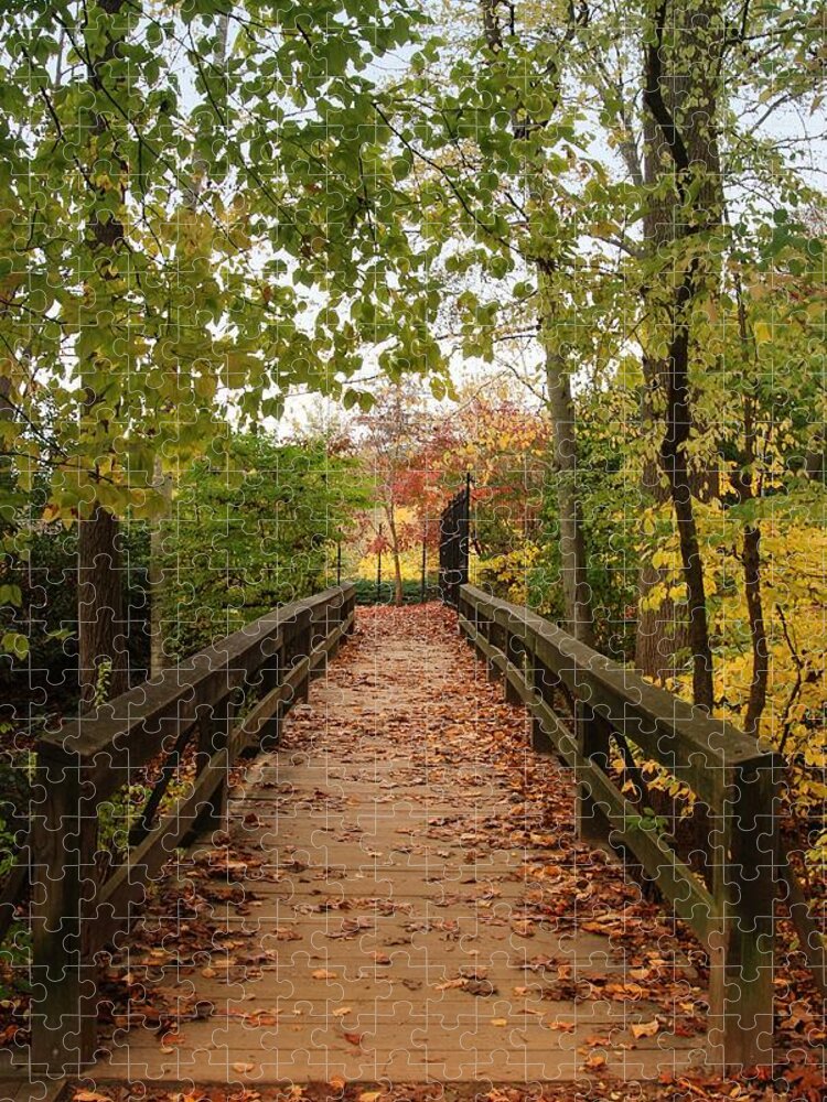 Autumn Landscapes Jigsaw Puzzle featuring the photograph Decorate With Leaves - Holmdel Park by Angie Tirado