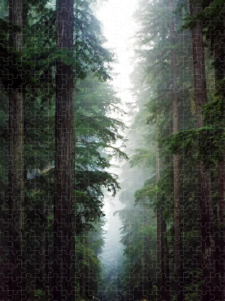 Forest Jigsaw Puzzle featuring the photograph Deep in the Forest by Debby Richards