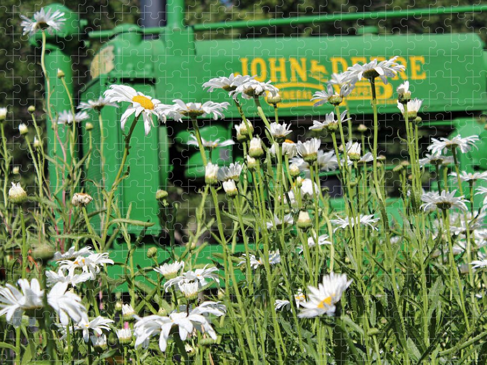 Farm Jigsaw Puzzle featuring the photograph Deere 1 by Lynn Sprowl