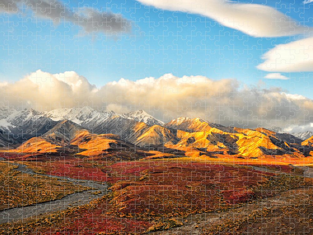 Denali Jigsaw Puzzle featuring the photograph Denali Prairie 4 - Denali National Park - Alaska by Bruce Friedman