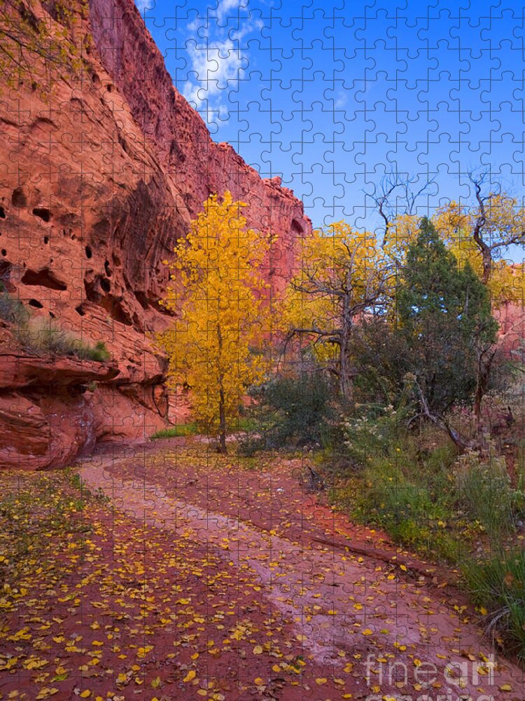 Burr Tail Jigsaw Puzzle featuring the photograph Desert Autumn by Michael Dawson