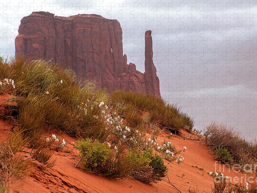 Utah Jigsaw Puzzle featuring the photograph Desert Flowers by Jim Garrison