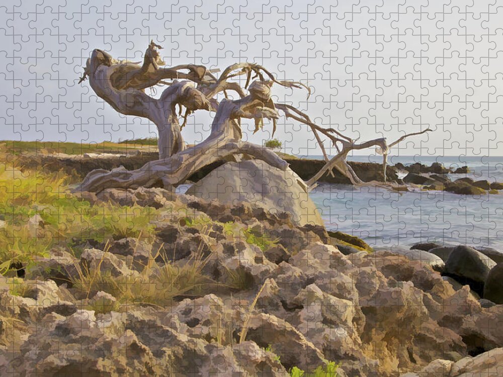 Aruba Jigsaw Puzzle featuring the photograph Divi Divi Tree on the Coastline of Aruba by David Letts