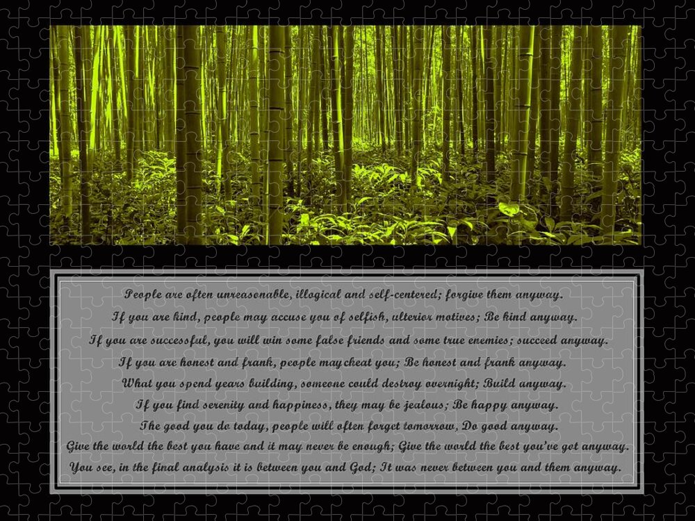 Mother Teresa Jigsaw Puzzle featuring the photograph Do It Anyway Bamboo Forest by David Dehner
