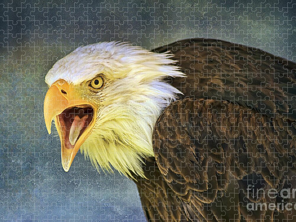 Bird Jigsaw Puzzle featuring the photograph Do It Or Else by Teresa Zieba