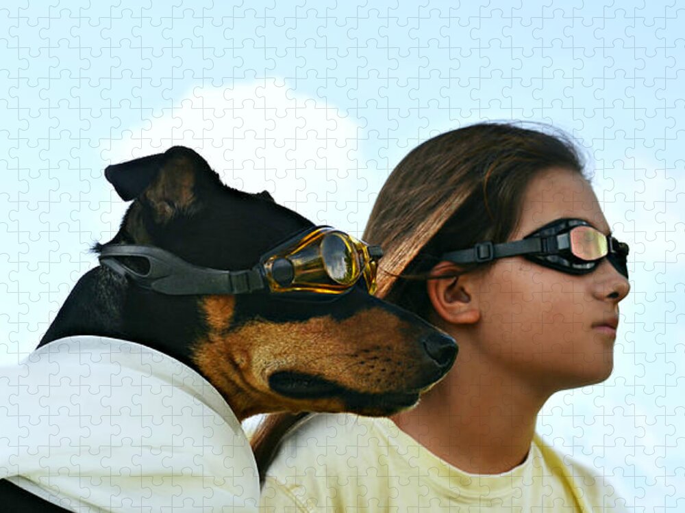 Laura Fasulo Jigsaw Puzzle featuring the photograph Dog Is My Co-pilot by Laura Fasulo