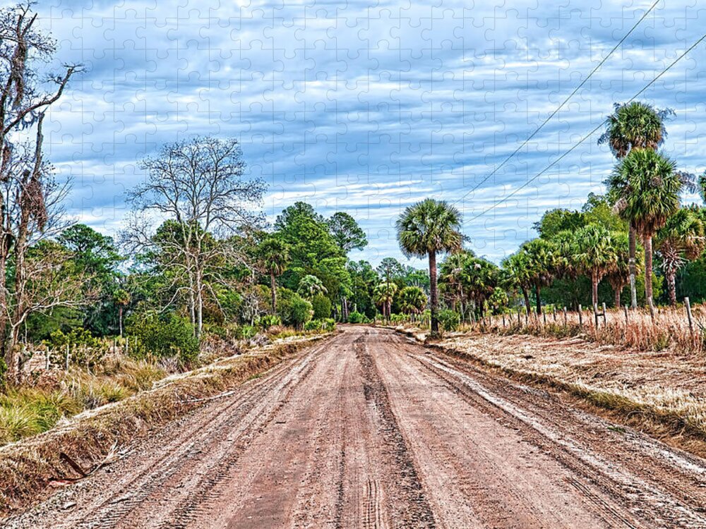 Dirt Road Jigsaw Puzzle featuring the photograph Down Chisolm Island Road by Scott Hansen