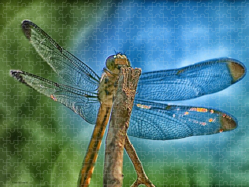 Dragonfly Jigsaw Puzzle featuring the photograph Dragonfly by Dennis Baswell