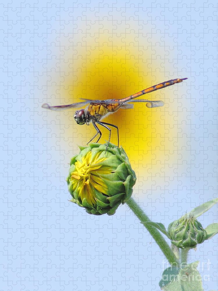 Nature Jigsaw Puzzle featuring the photograph Dragonfly In Sunflowers by Robert Frederick