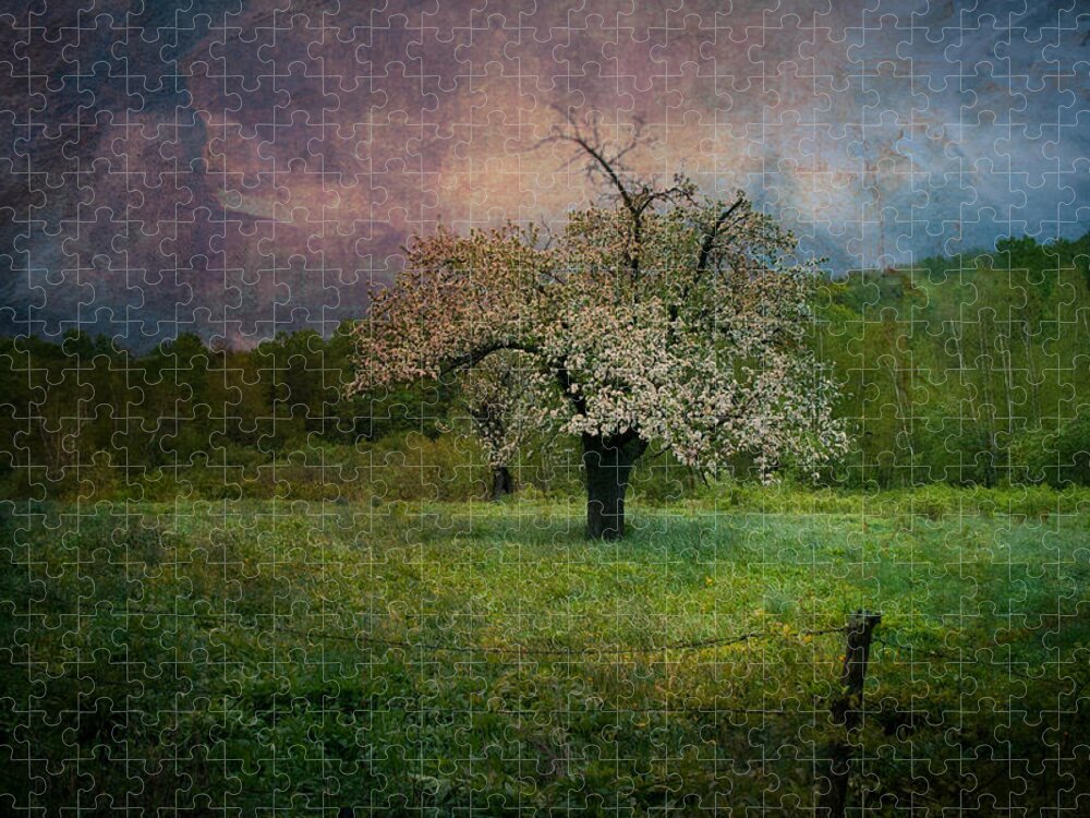 Image By Jeff Folger Jigsaw Puzzle featuring the photograph Dream of Spring by Jeff Folger