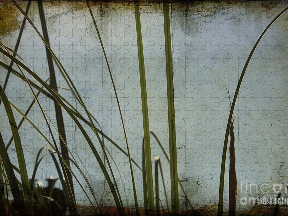 Grasses Jigsaw Puzzle featuring the photograph Dreaming of Summer by Chris Armytage