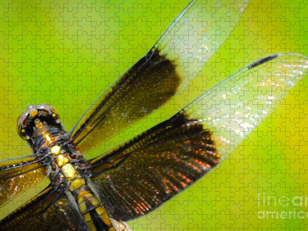 Dragonfly Jigsaw Puzzle featuring the photograph Dreamy Dragonfly by Cheryl McClure