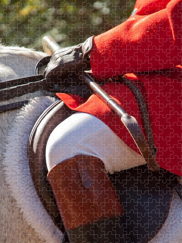 Horse Jigsaw Puzzle featuring the photograph Dressed Rider by Shirley Radabaugh