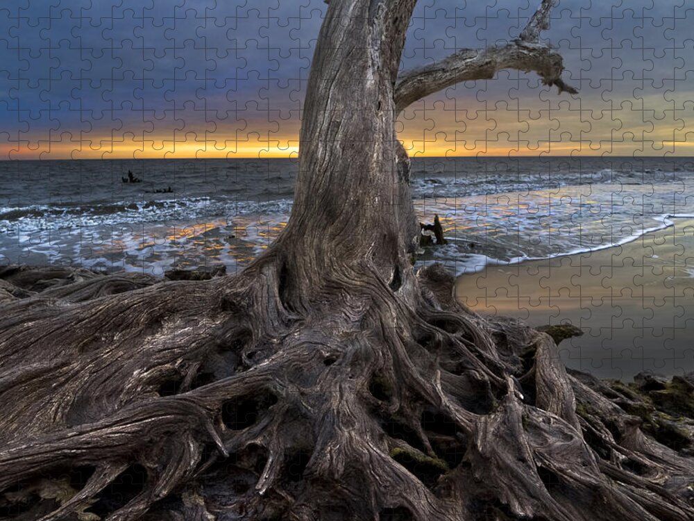 Clouds Jigsaw Puzzle featuring the photograph Driftwood on Jekyll Island by Debra and Dave Vanderlaan
