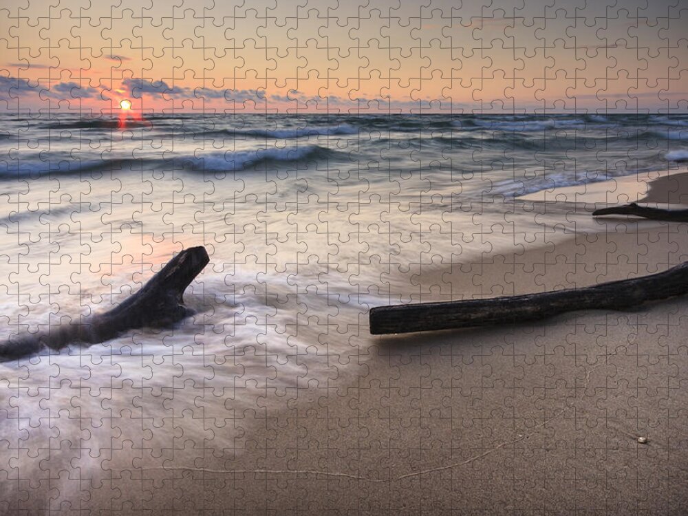 3scape Jigsaw Puzzle featuring the photograph Driftwood on the Beach by Adam Romanowicz