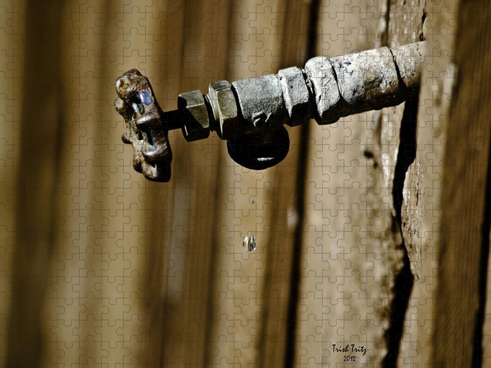 Faucet Jigsaw Puzzle featuring the photograph Drip...Drip...Drip...Drip by Trish Tritz