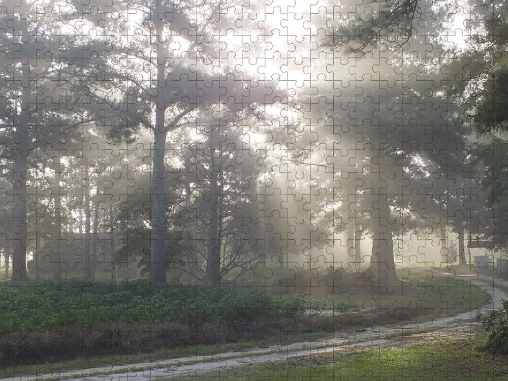 Driveway To Paradise Jigsaw Puzzle featuring the photograph Driveway to Paradise by Mike McGlothlen