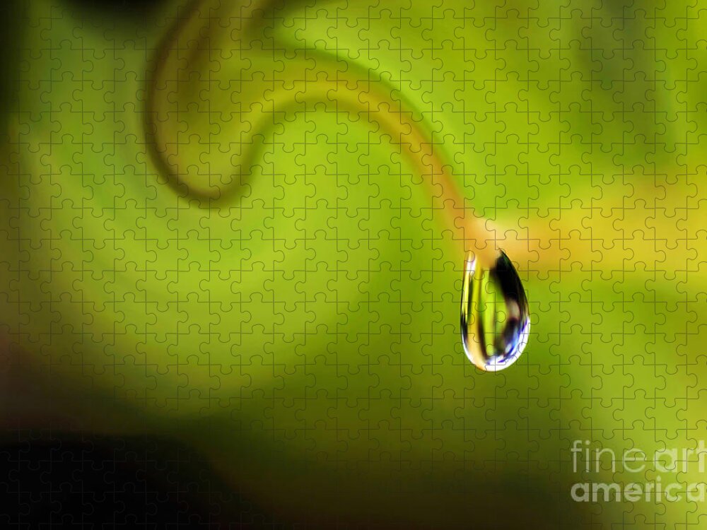 Droplet Ready To Drip Jigsaw Puzzle featuring the photograph Droplet ready to drip by Kaye Menner