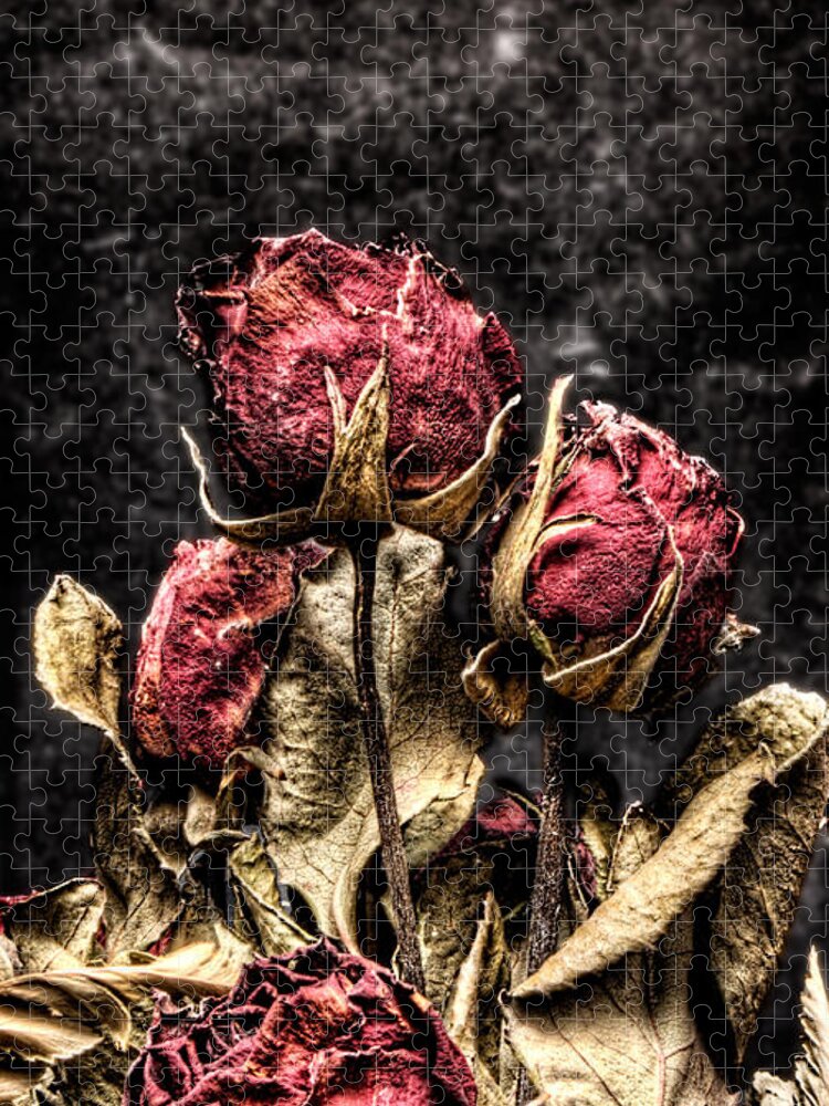 Dry Roses Jigsaw Puzzle featuring the photograph Dry Roses In Black by Weston Westmoreland