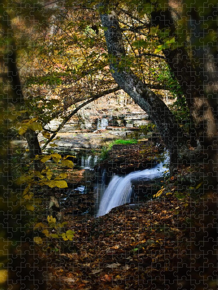 Duck River Jigsaw Puzzle featuring the photograph Duck River Falls by George Taylor