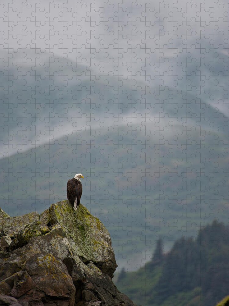 Scenics Jigsaw Puzzle featuring the photograph Eagle by Enrique R. Aguirre Aves