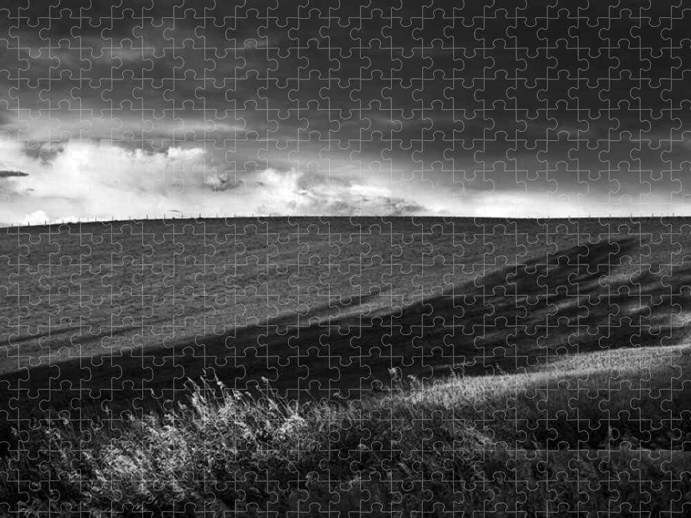 Black And White Jigsaw Puzzle featuring the photograph Earth Voices by Theresa Tahara