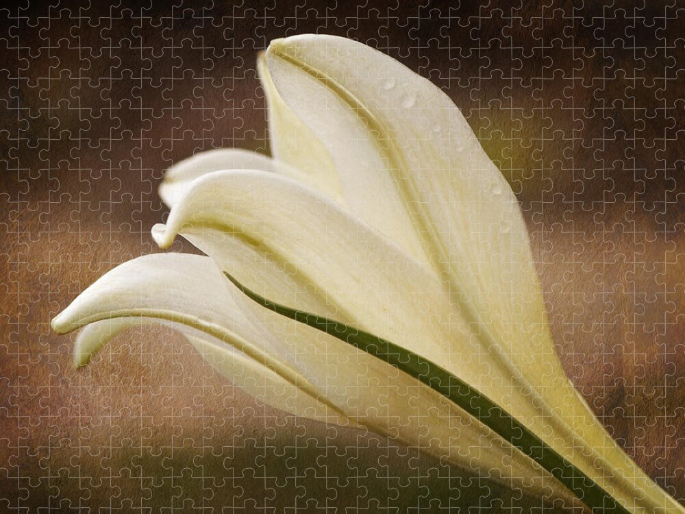 Easter Lily Jigsaw Puzzle featuring the photograph Easter Lily Beauty by Liz Mackney